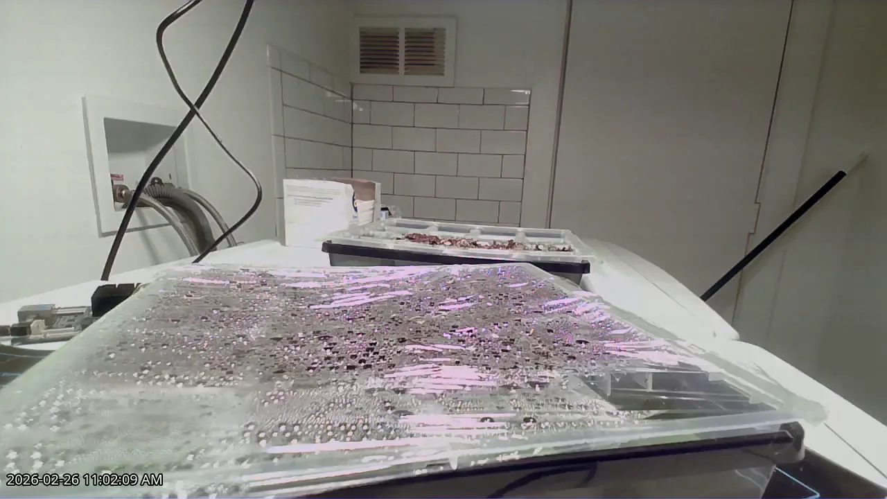 Camera 2 view of the same seed trays after the horizontal banding filter was enabled